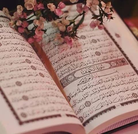 Fatima tul zehra
