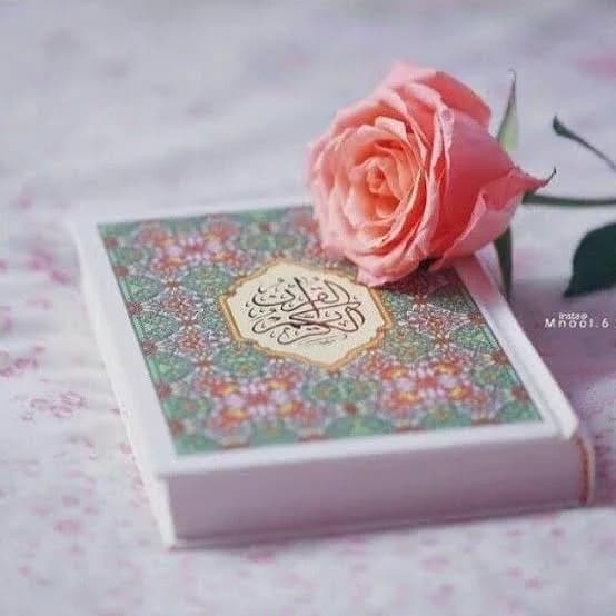 narjis Fatima