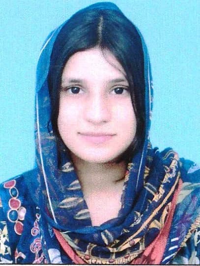 Nayab gull