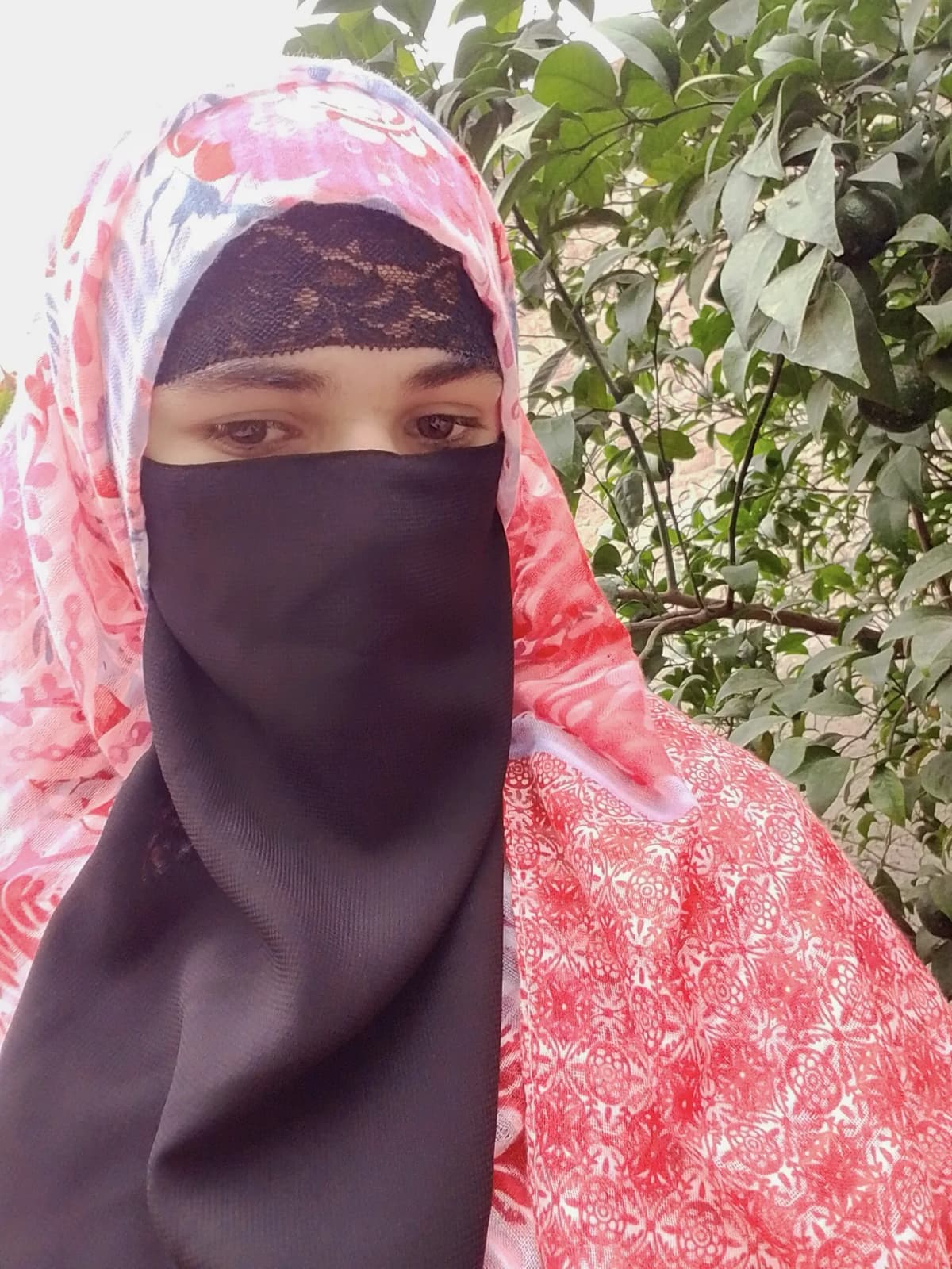 Tehmeena bibi