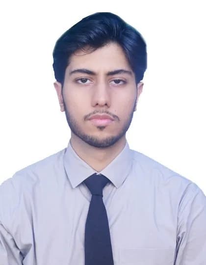Ahmed Hamid Butt