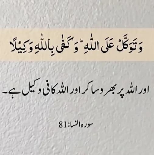 shiza anjum