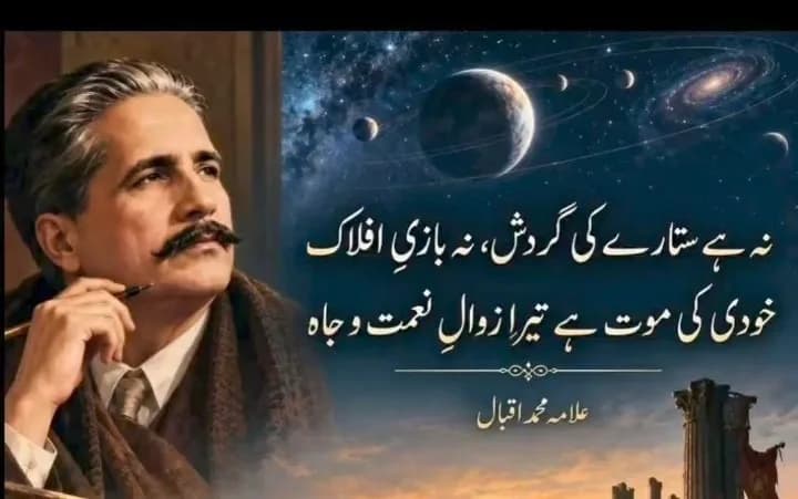 hifza Hameed