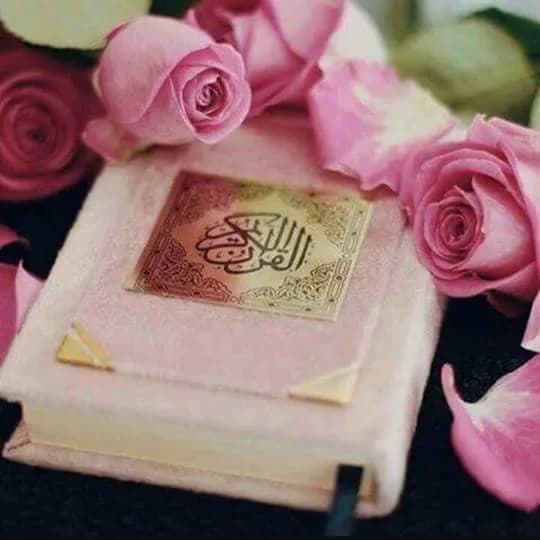 Moazma Ajmal