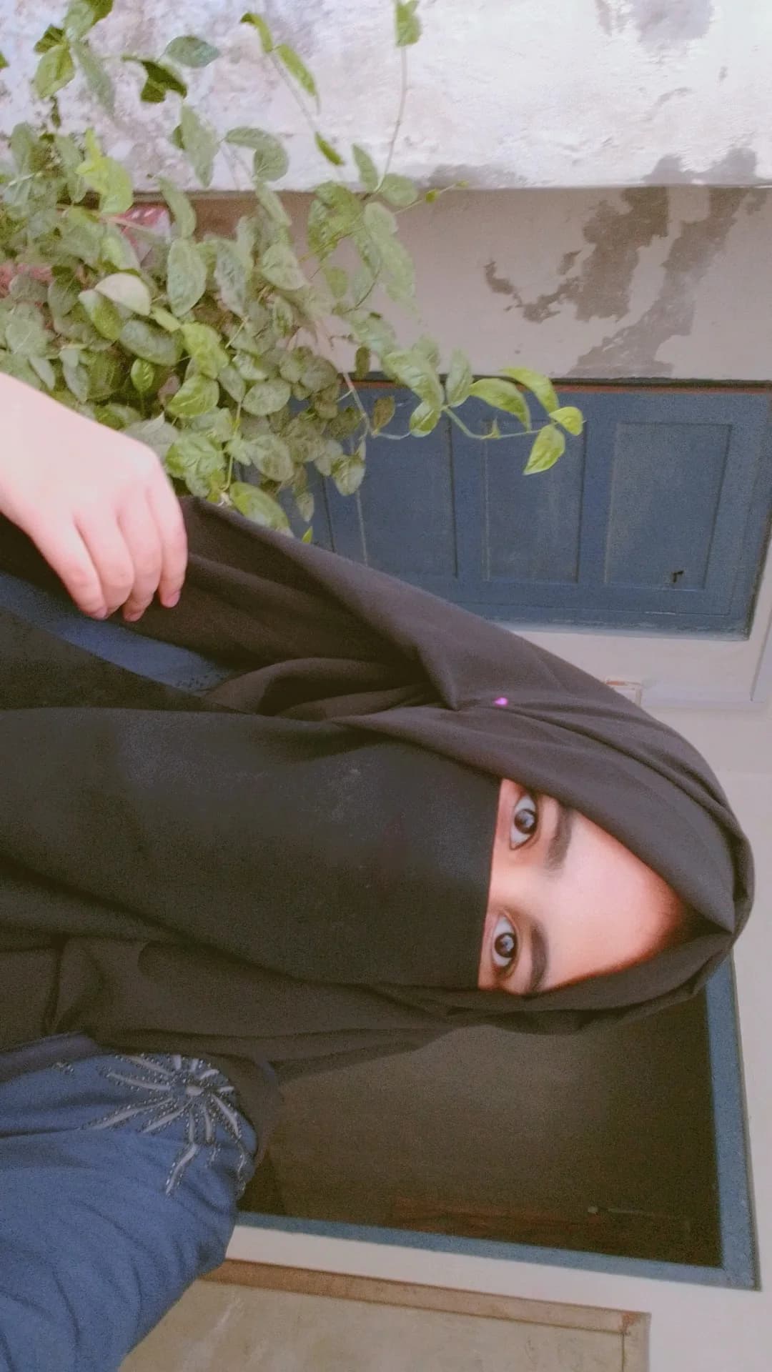 Qanita batool