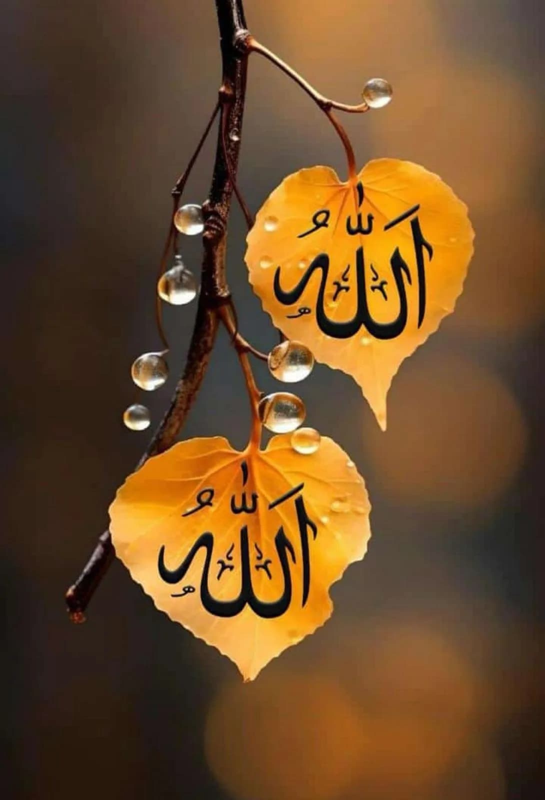 Aiman BiBi